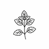Albahaca Santa Calmante icon
